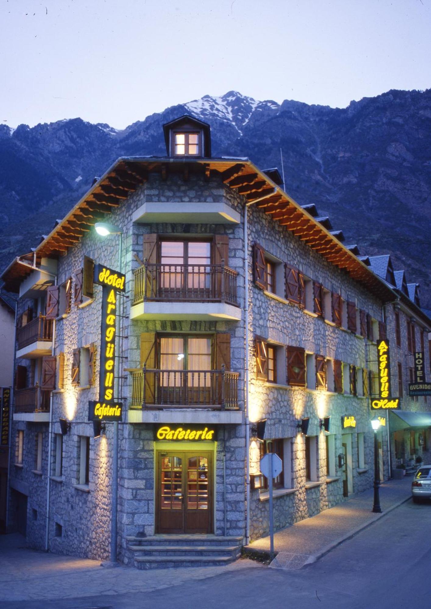 Hotel Aragueells Benasque Esterno foto